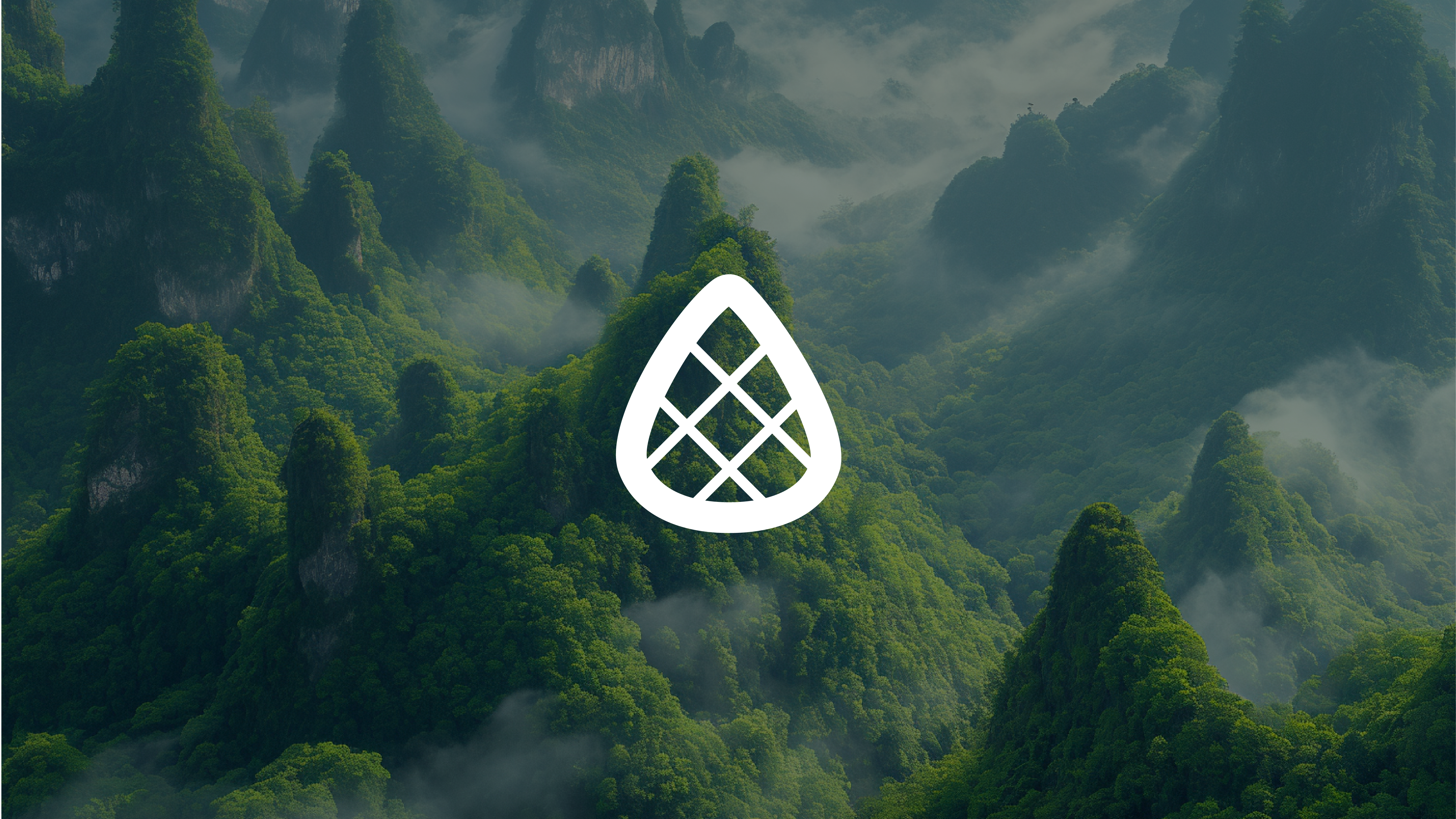 Dennenbossen in Zhangjiajie met het PinePower logo in het midden. Het majestueuze landschap weerspiegelt de natuurlijke oorsprong en zuiverheid van onze producten.